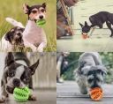Мяч для собак с отверстиями для корма и лакомства, 5 см - Зеленый