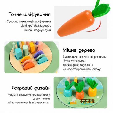 Дерев&rsquo;яний розвивальний бізікуб 12 в 1 з сортером, лабіринтом, рахівницею та годинником