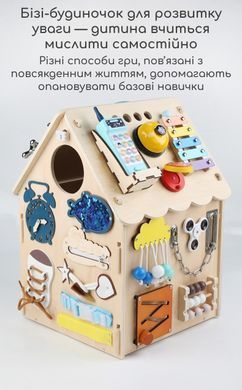 Бізікуб бізібудинок - розвивальний будиночок Монтессорі для дітей, дерево, 30x30x45 см